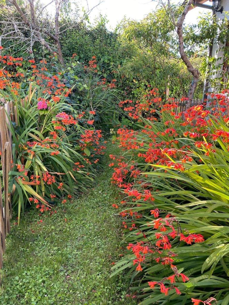 La Casina De Inesita Holiday home *